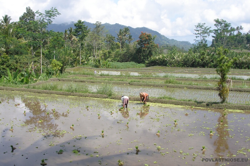 Bali_15.JPG