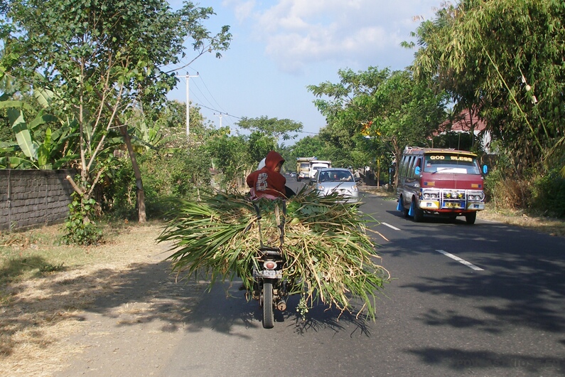 Bali_22.JPG