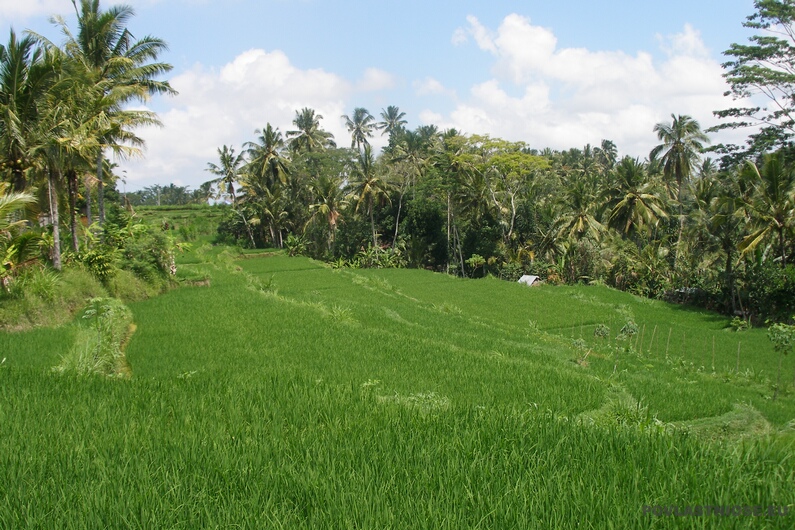 Bali_46.JPG