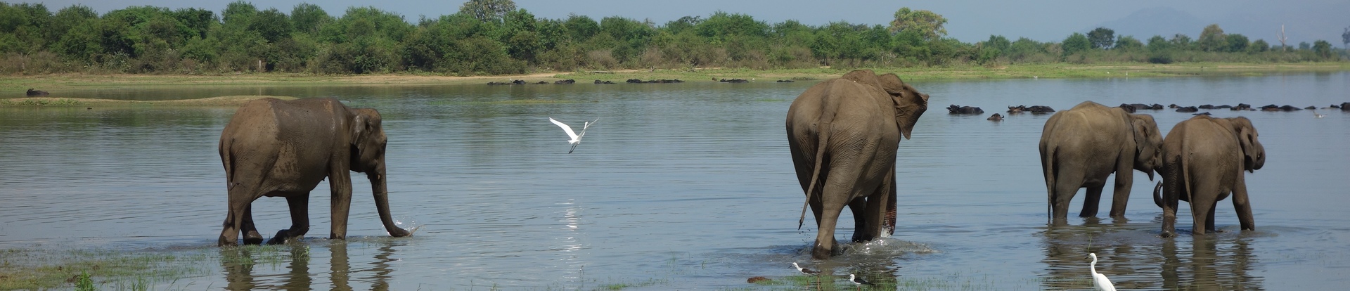 Sri Lanka