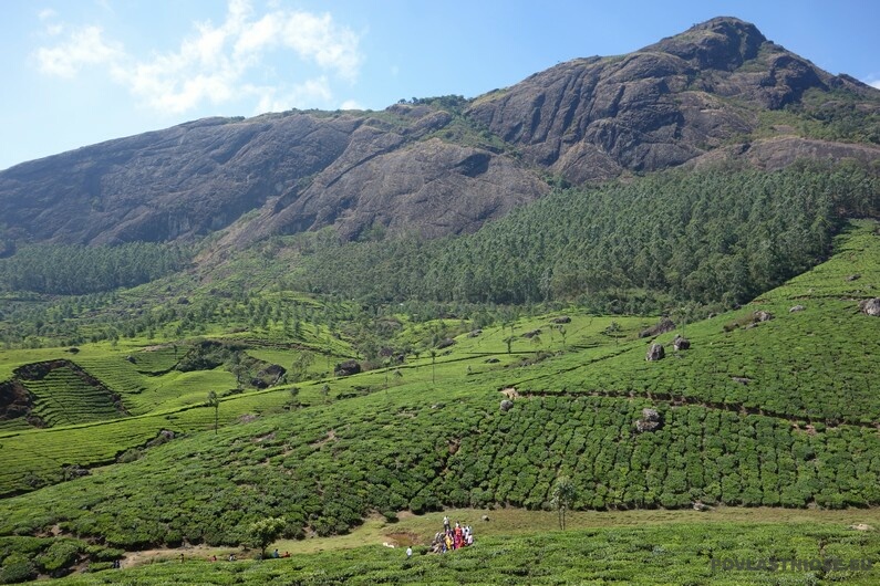 Indie View point Munnar