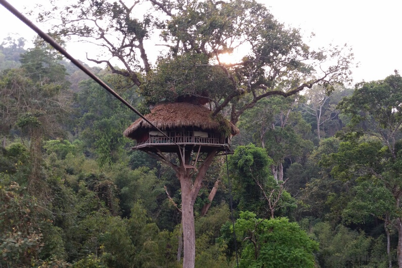 gibbon experience tree house no 5