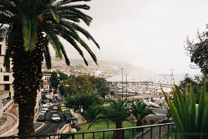 Madeira_03.JPG