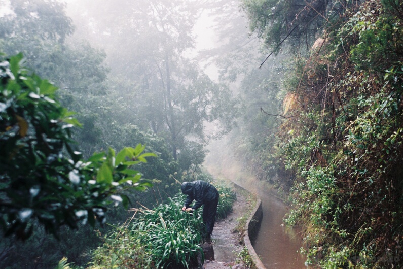 Madeira Leváda dos Tornos