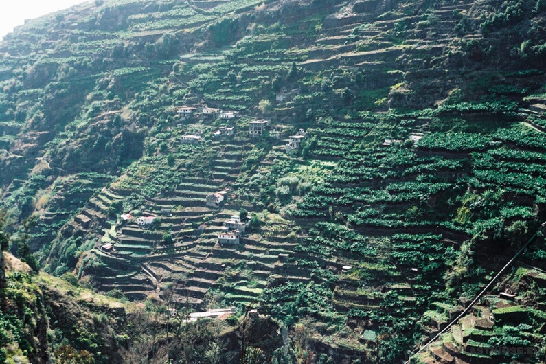 Madeira_10.JPG