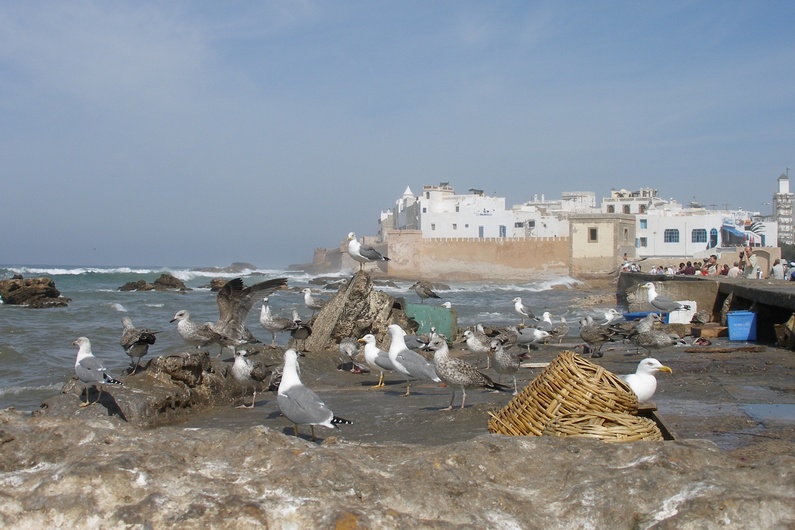 11-Maroko-Essaouira-005.jpg