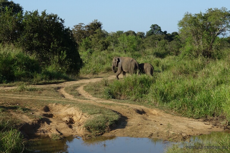 Sri Lanka 34