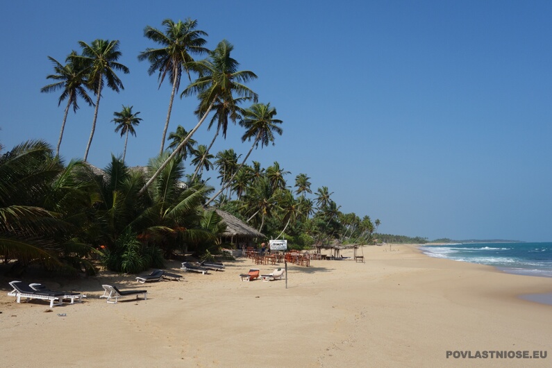 Sri_Lanka_82.JPG