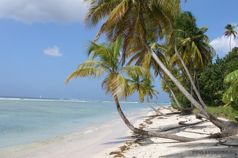 Tobago_57.JPG