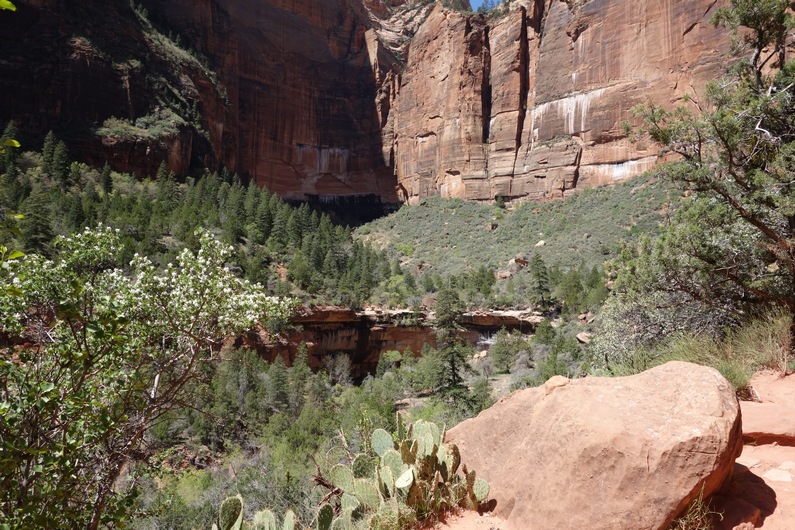 USA Zion Emerald Pools