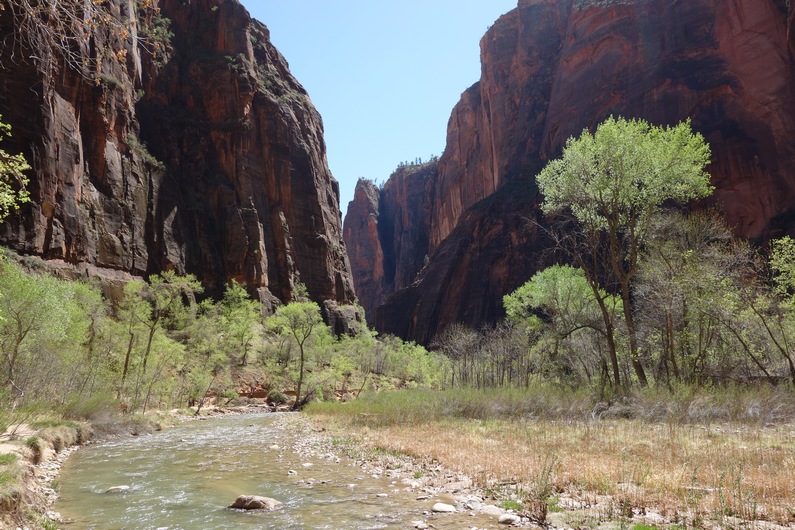 USA Zion Big Bend - Weeping Rock