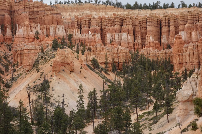 USA Bryce Peekaboo Loop Trail