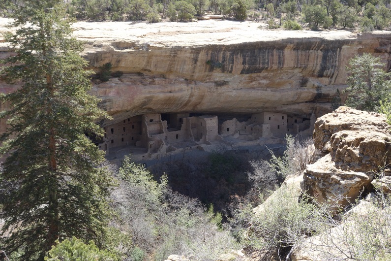 USA Mesa Verde Spruce Tree House