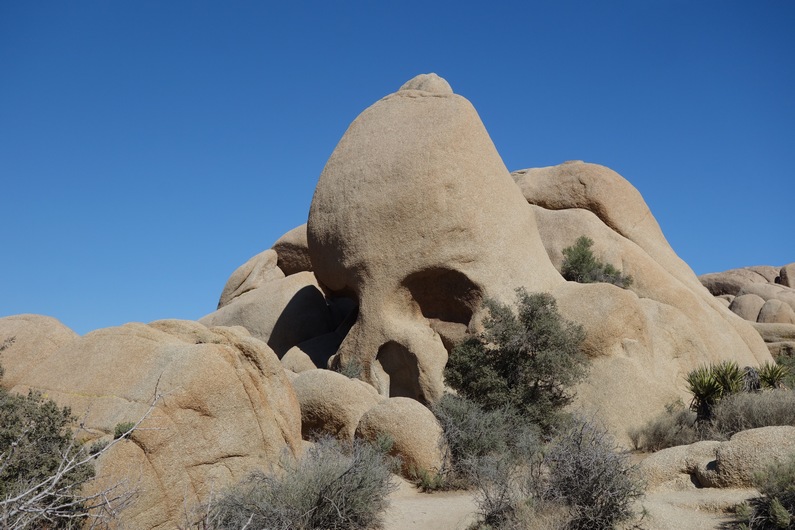 USA Joshua Tree Skull Rock