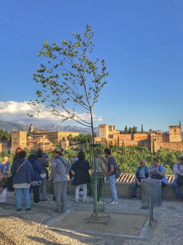 Granada Alhambra