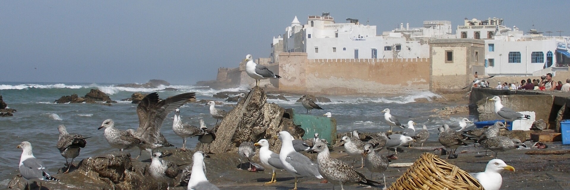 Maroko Essaouira