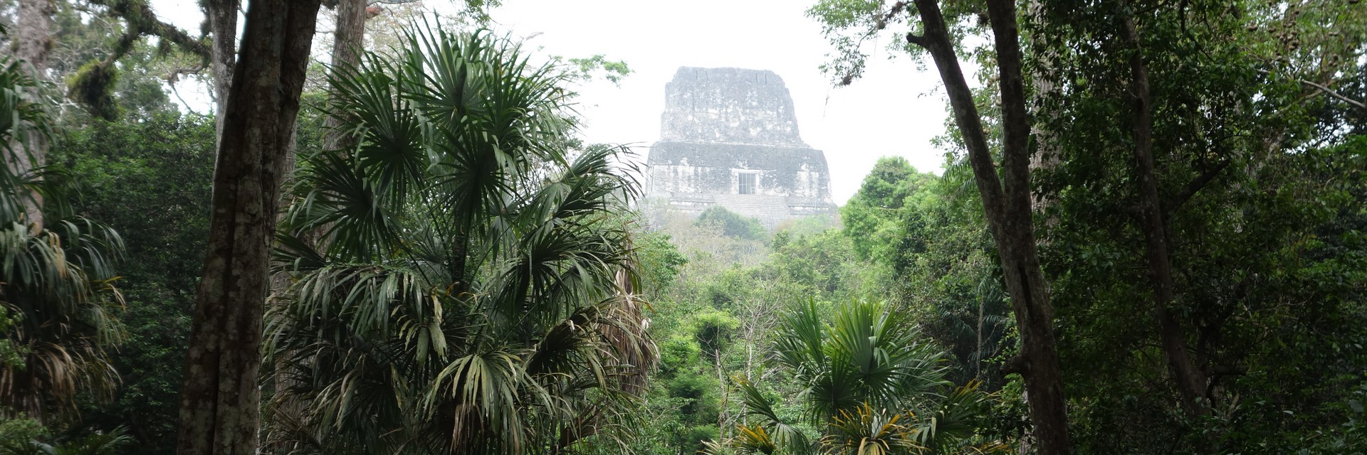 Tikal1