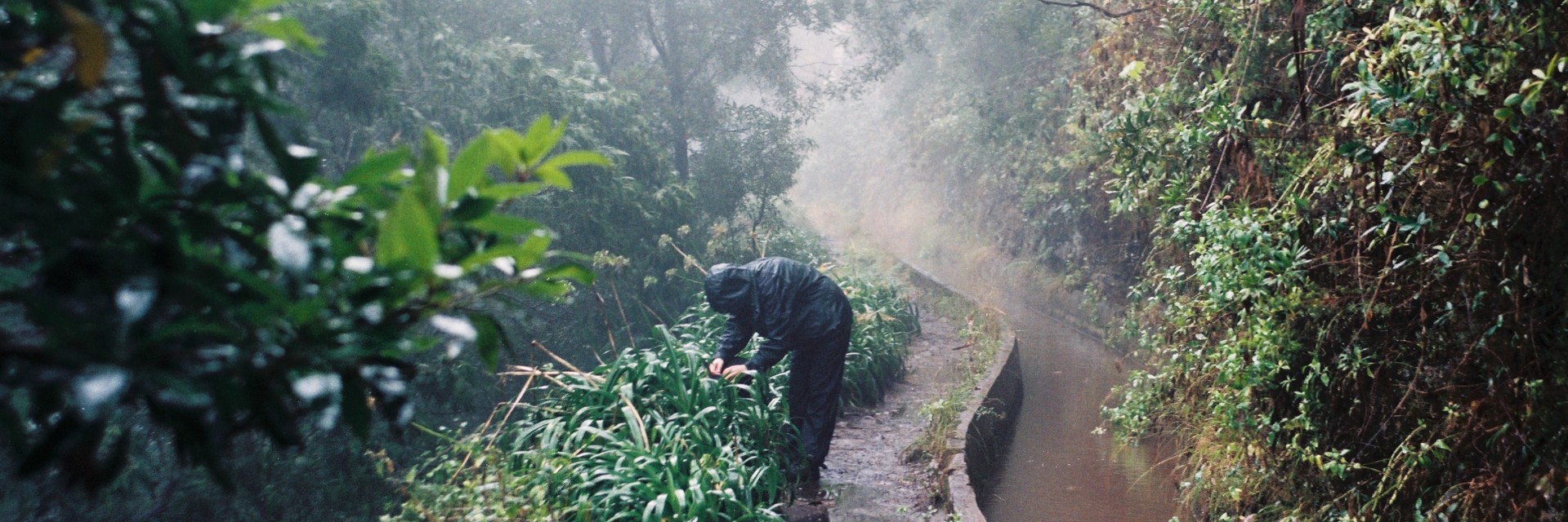 madeira1