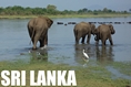 SRI LANKA